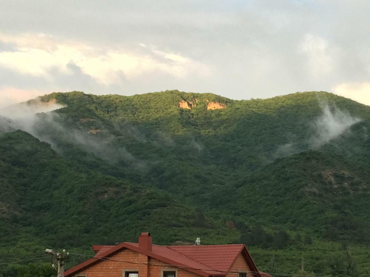 Vila Aragvi Valley Tsitelsopeli Exteriér fotografie